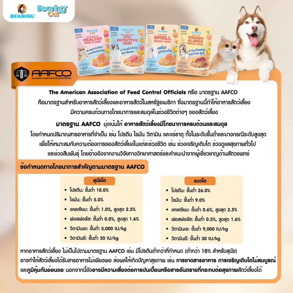 CatSensitive (4).webp