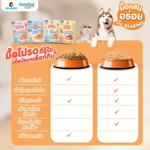 DogSmall (5).webp
