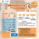 DogSmall (6).webp