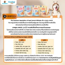 DogSmall (4).webp