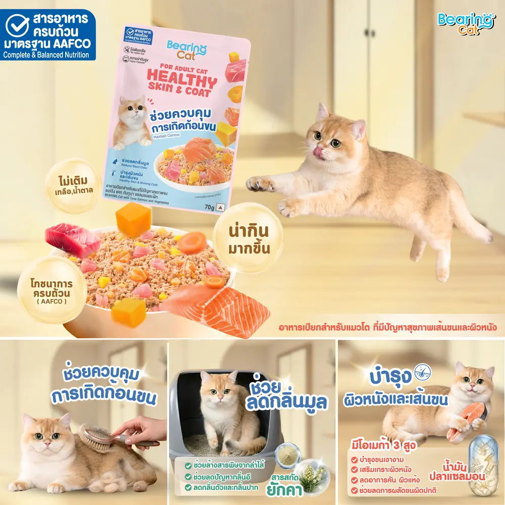 *BEARING Cat อาหารเปียกสำหรับแมวโต 70 g. 